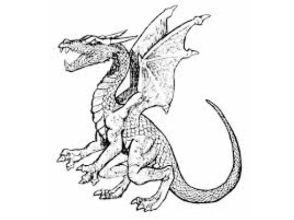 esquisse de dragon